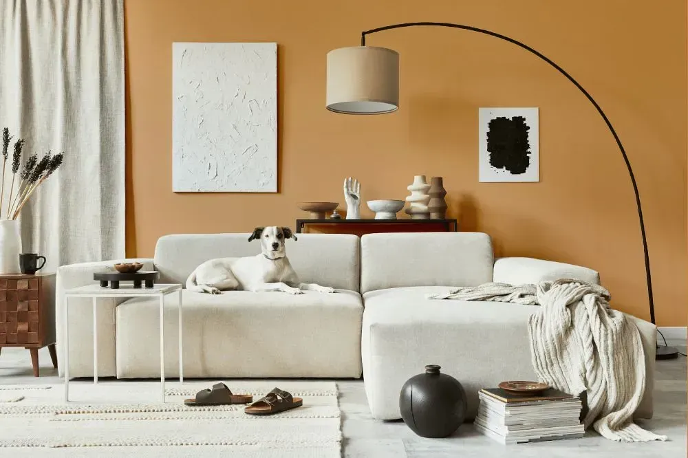 NCS S 2030-Y30R cozy living room