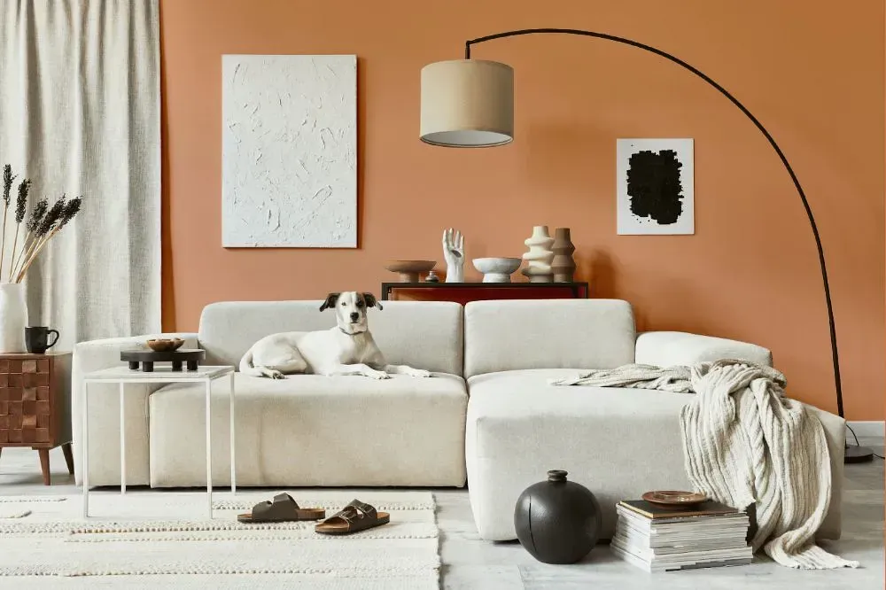 NCS S 2030-Y50R cozy living room