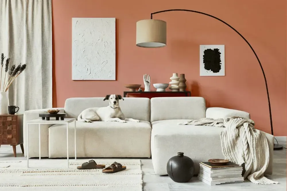 NCS S 2030-Y70R cozy living room