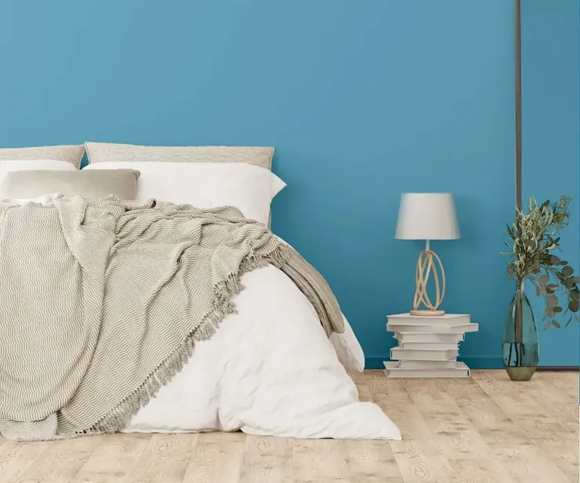 NCS S 2040-B cozy bedroom wall color
