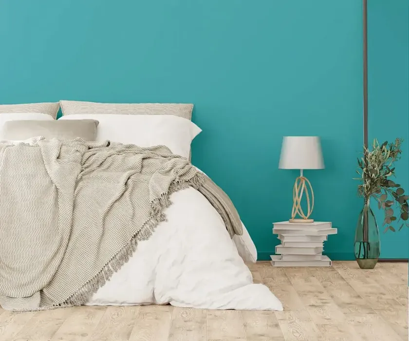 NCS S 2040-B30G cozy bedroom wall color
