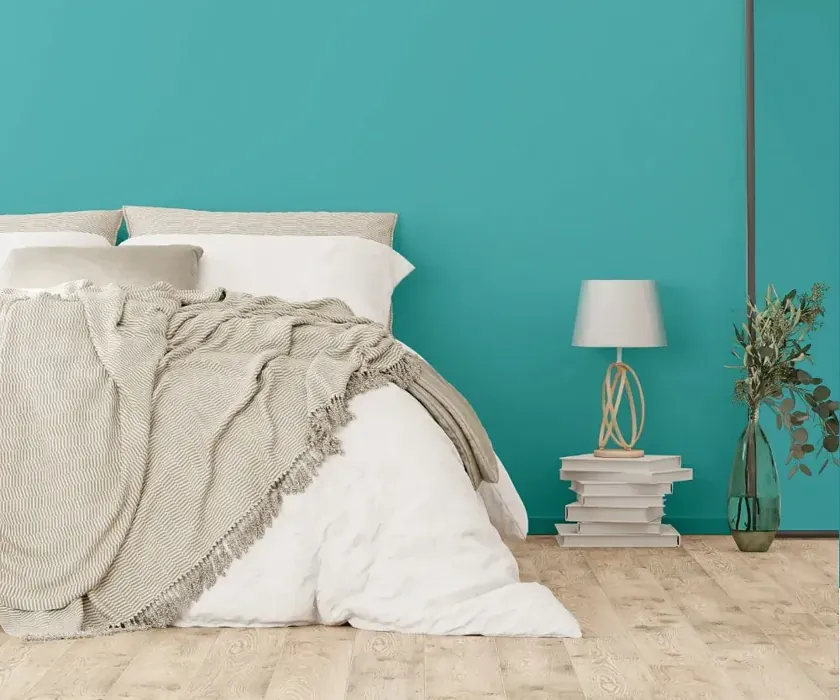 NCS S 2040-B40G cozy bedroom wall color