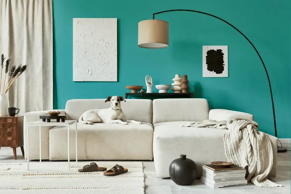 NCS S 2040-B50G cozy living room