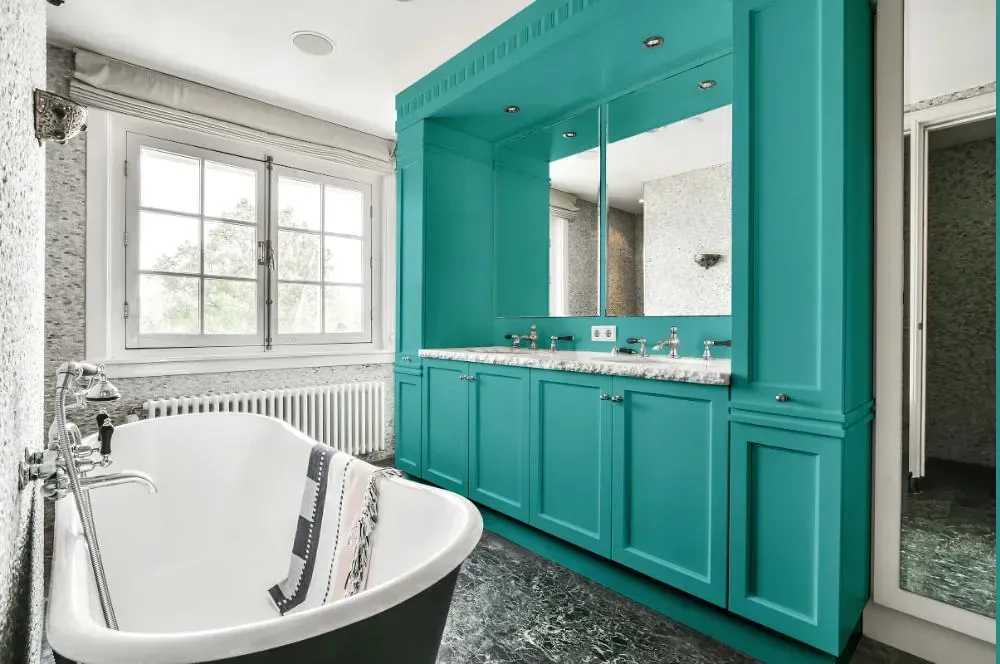 NCS S 2040-B50G victorian bathroom paint