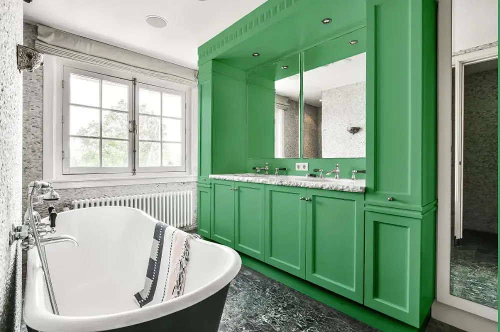 NCS S 2040-G10Y victorian bathroom paint