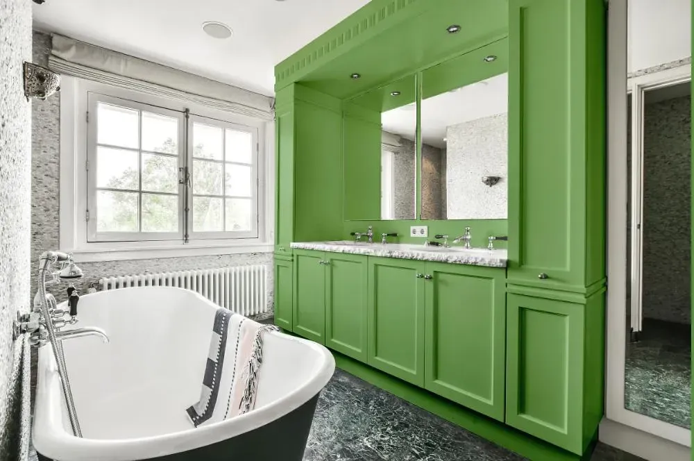 NCS S 2040-G30Y victorian bathroom paint