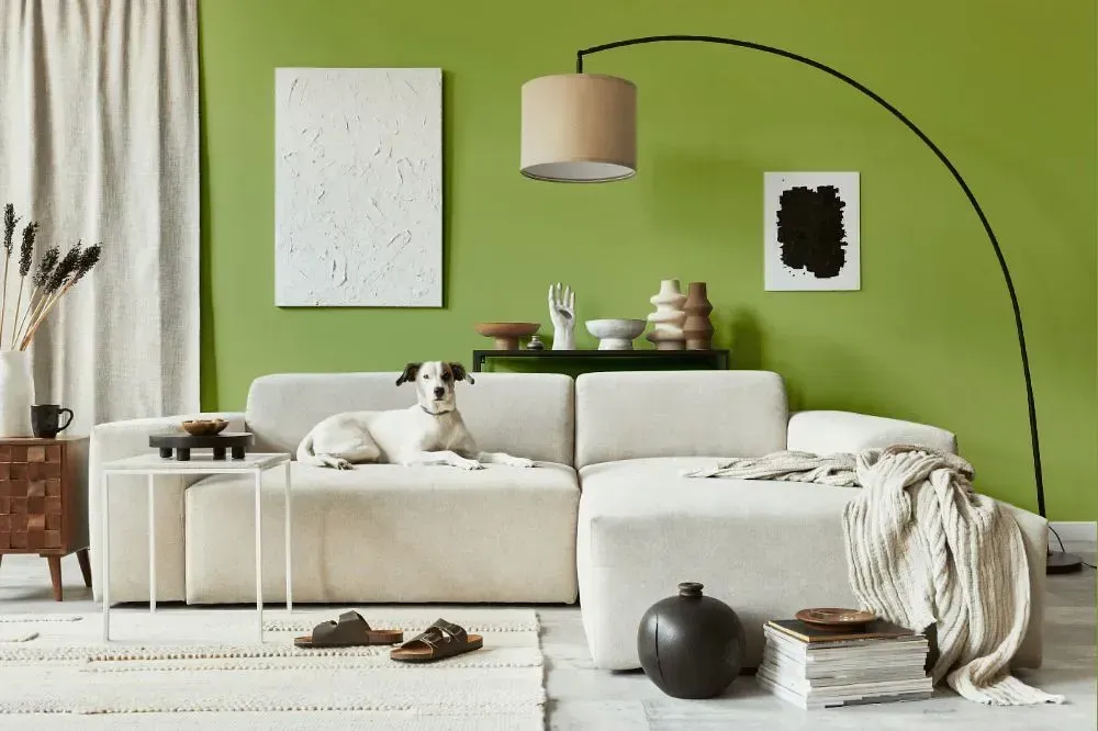 NCS S 2040-G50Y cozy living room