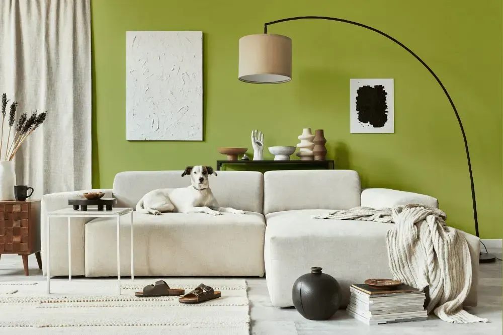 NCS S 2040-G60Y cozy living room