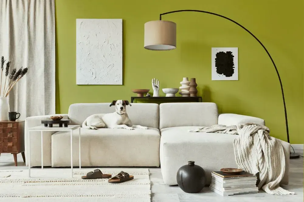 NCS S 2040-G70Y cozy living room