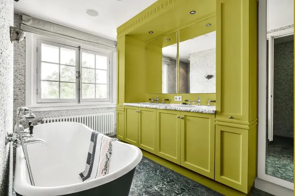 NCS S 2040-G80Y victorian bathroom paint