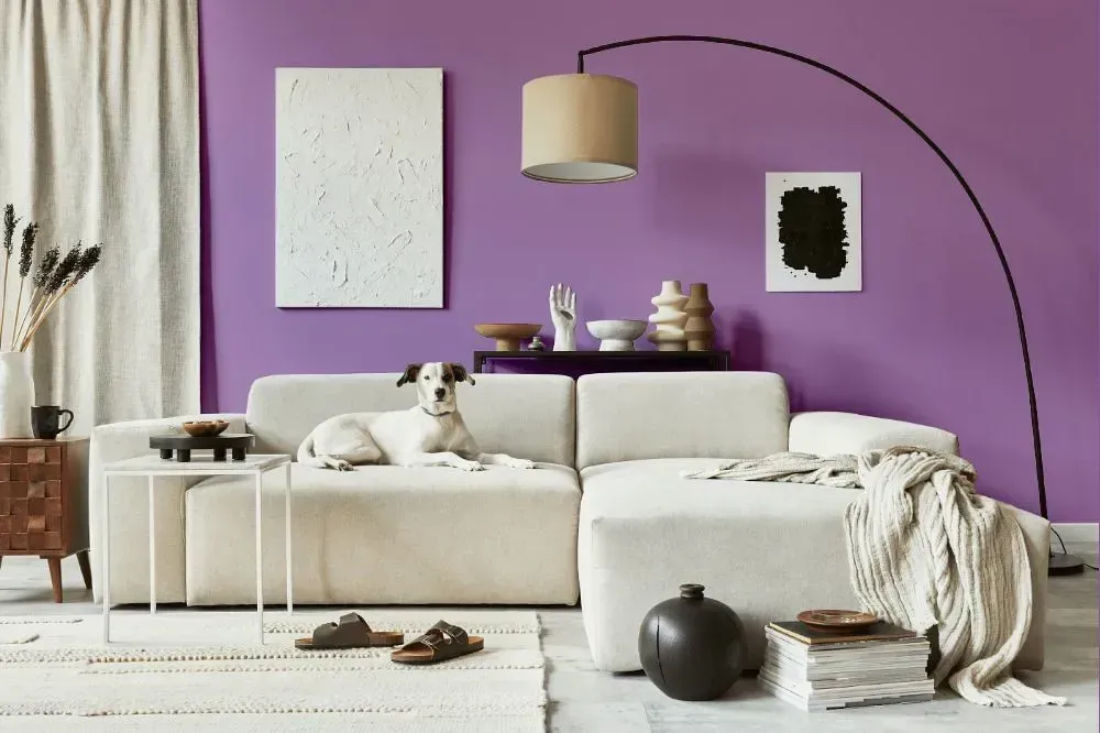 NCS S 2040-R50B cozy living room