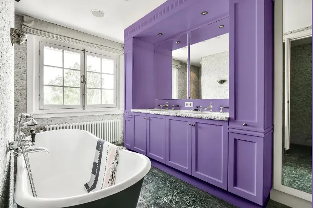 NCS S 2040-R60B victorian bathroom paint