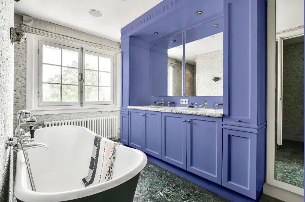 NCS S 2040-R70B victorian bathroom paint