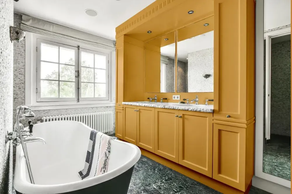 NCS S 2040-Y20R victorian bathroom paint