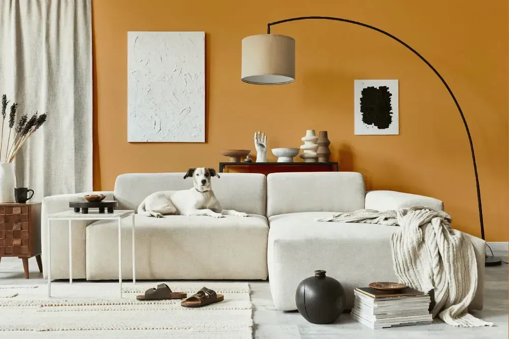 NCS S 2040-Y30R cozy living room