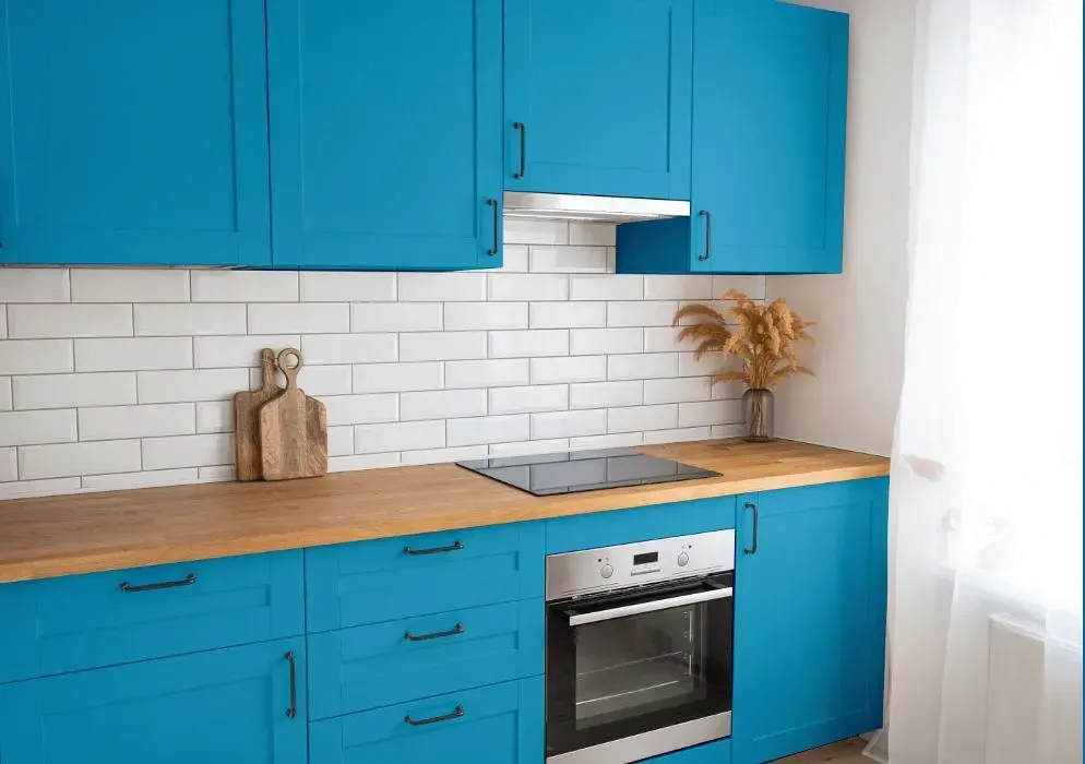 NCS S 2050-B kitchen cabinets