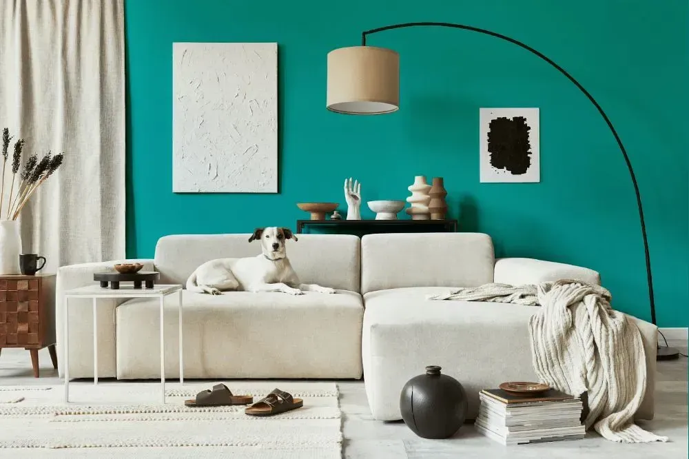 NCS S 2050-B50G cozy living room