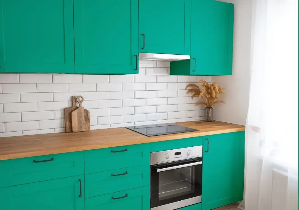 NCS S 2050-B80G kitchen cabinets