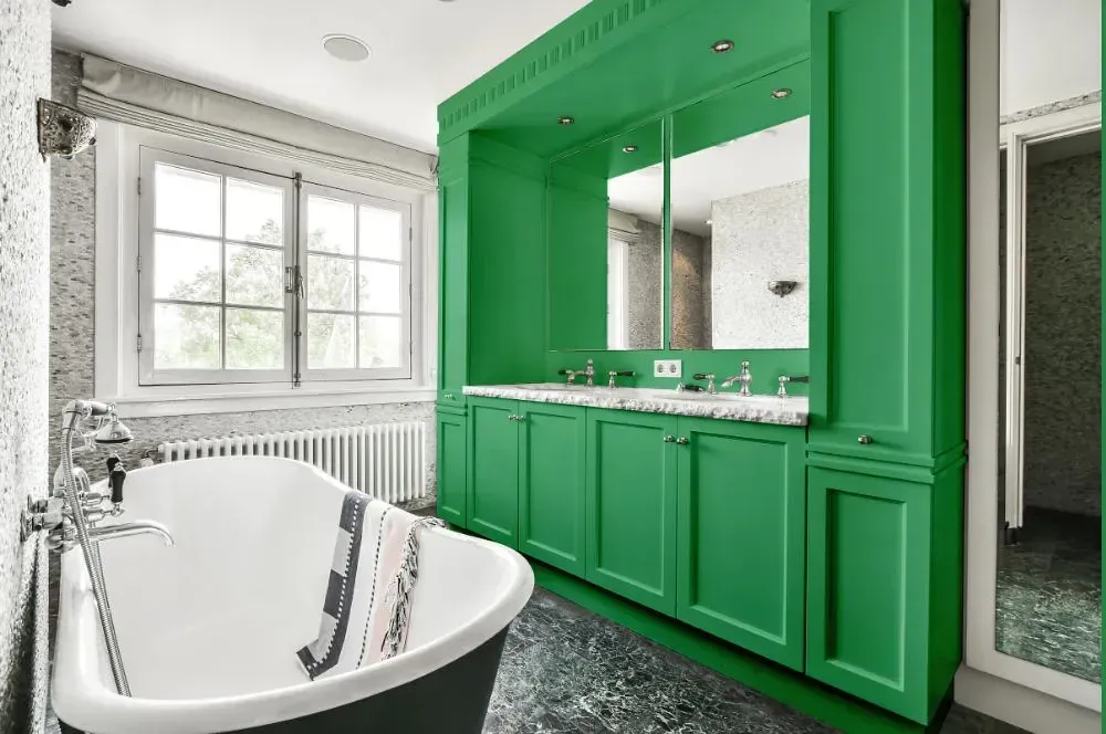 NCS S 2050-G10Y victorian bathroom paint