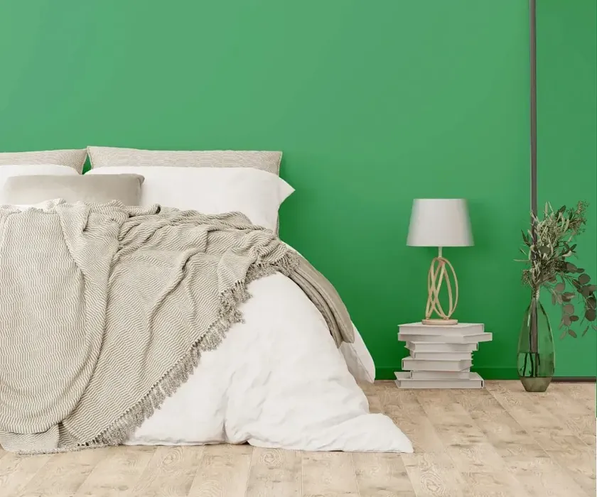 NCS S 2050-G10Y cozy bedroom wall color
