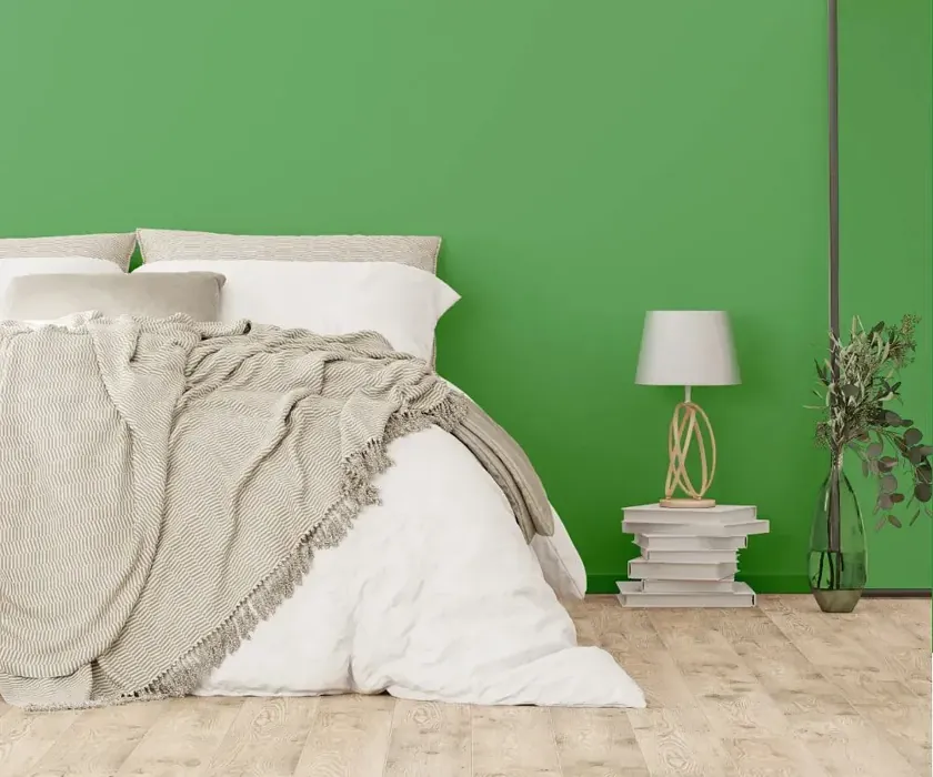 NCS S 2050-G20Y cozy bedroom wall color