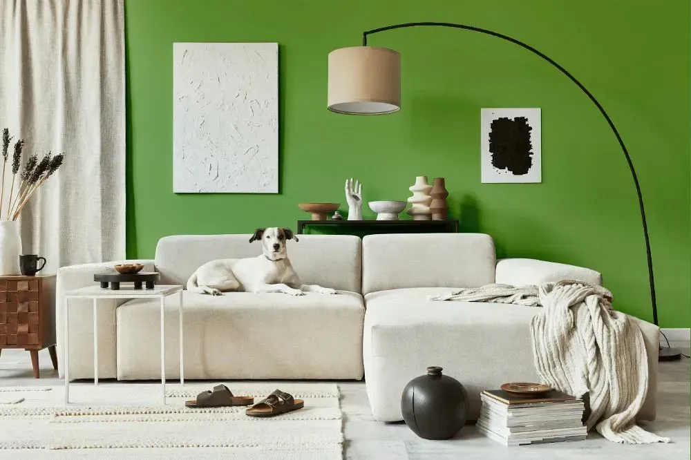 NCS S 2050-G30Y cozy living room