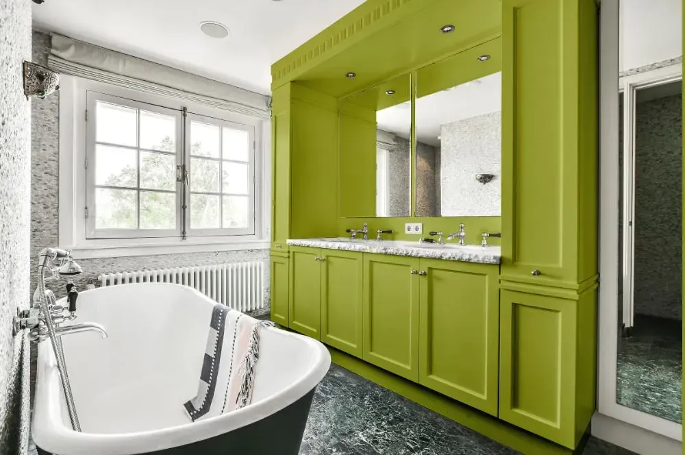 NCS S 2050-G60Y victorian bathroom paint