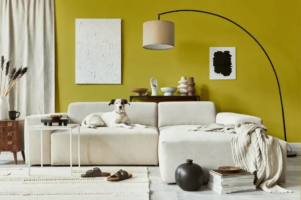 NCS S 2050-G90Y cozy living room