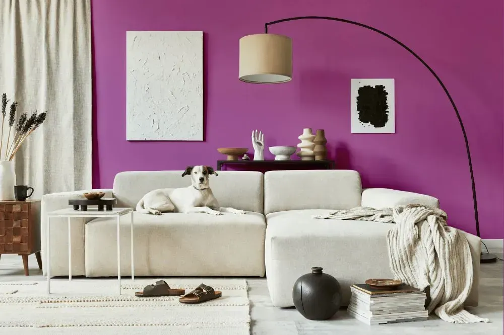 NCS S 2050-R40B cozy living room