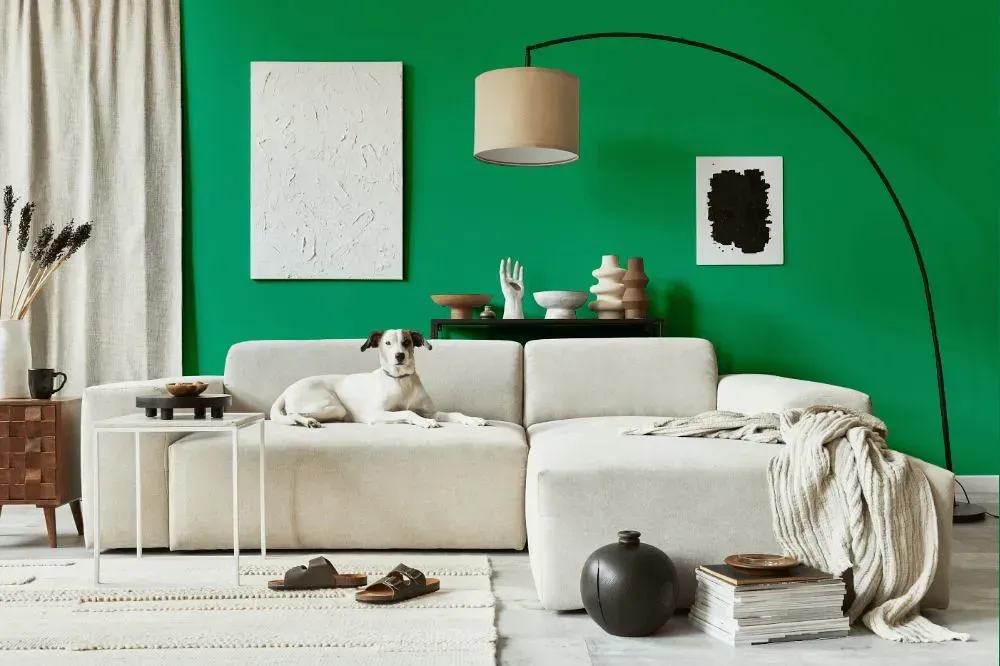 NCS S 2060-G cozy living room