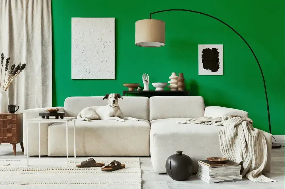 NCS S 2060-G10Y cozy living room