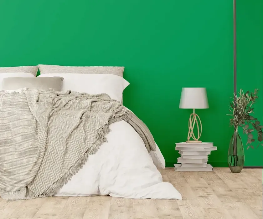 NCS S 2060-G10Y cozy bedroom wall color