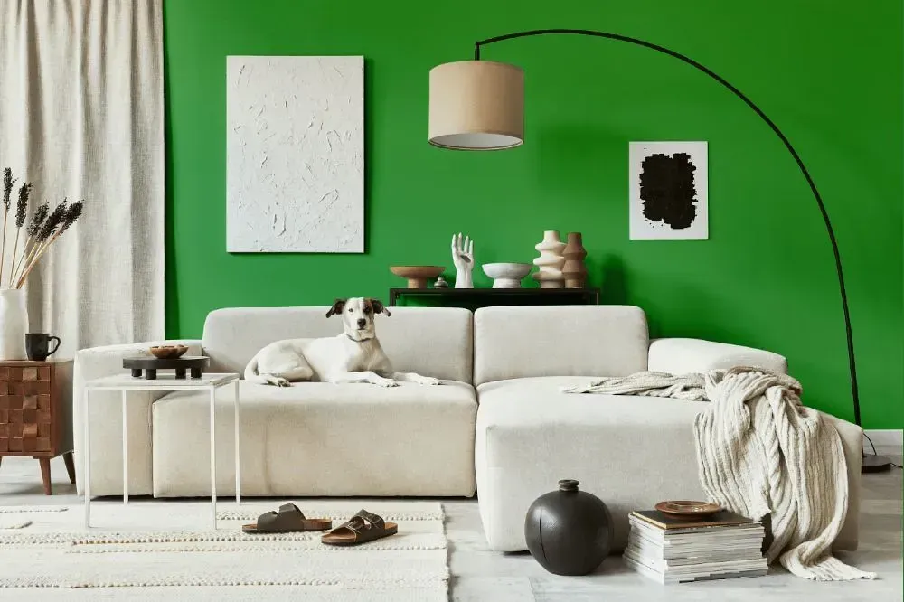 NCS S 2060-G20Y cozy living room