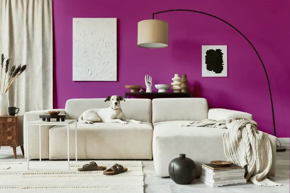 NCS S 2060-R40B cozy living room