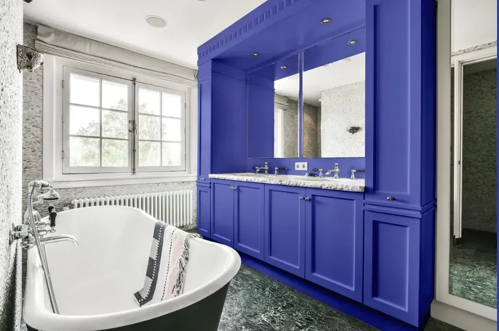 NCS S 2060-R70B victorian bathroom paint