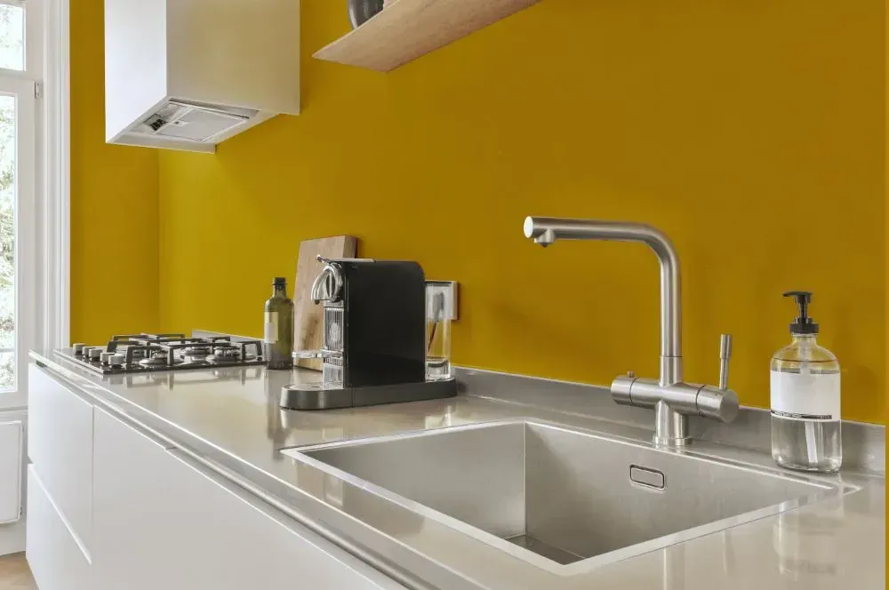 NCS S 2060-Y kitchen painted backsplash