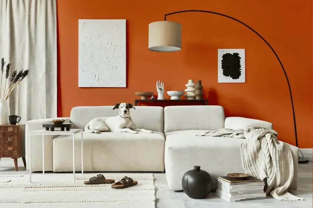 NCS S 2060-Y60R cozy living room