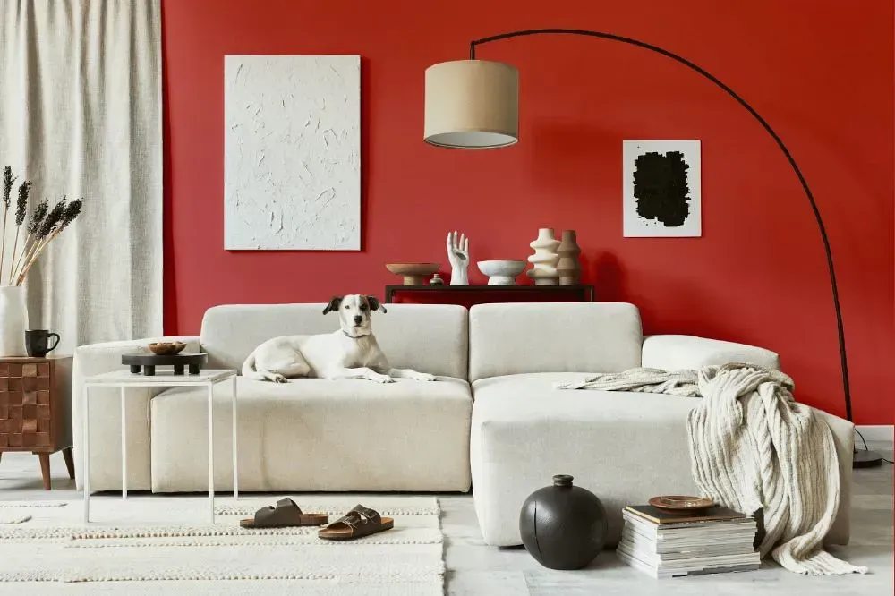 NCS S 2060-Y90R cozy living room