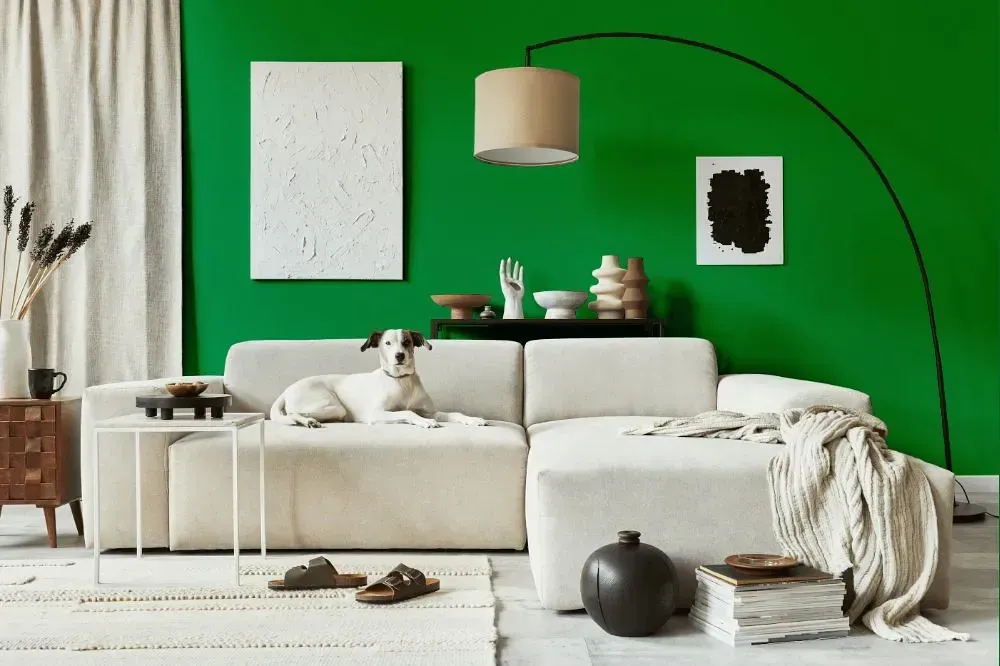NCS S 2070-G10Y cozy living room