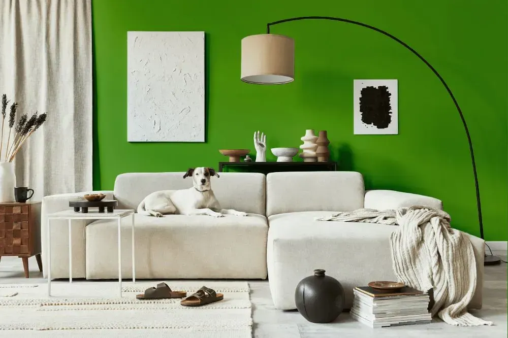NCS S 2070-G30Y cozy living room