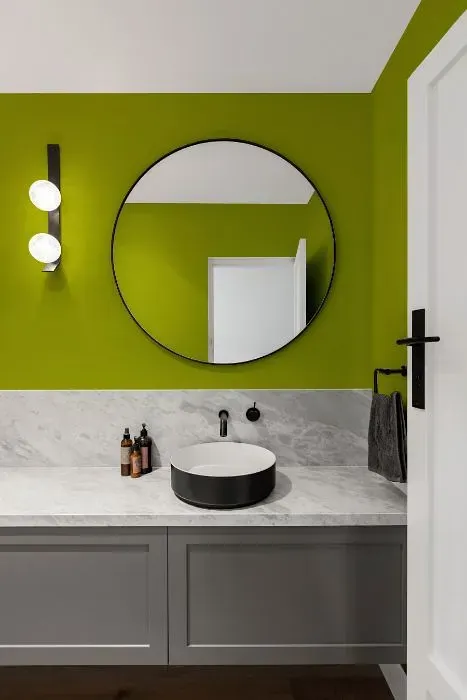 NCS S 2070-G60Y minimalist bathroom