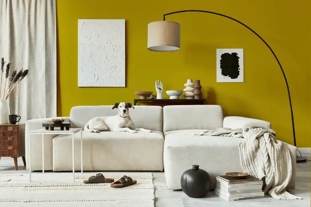 NCS S 2070-G90Y cozy living room