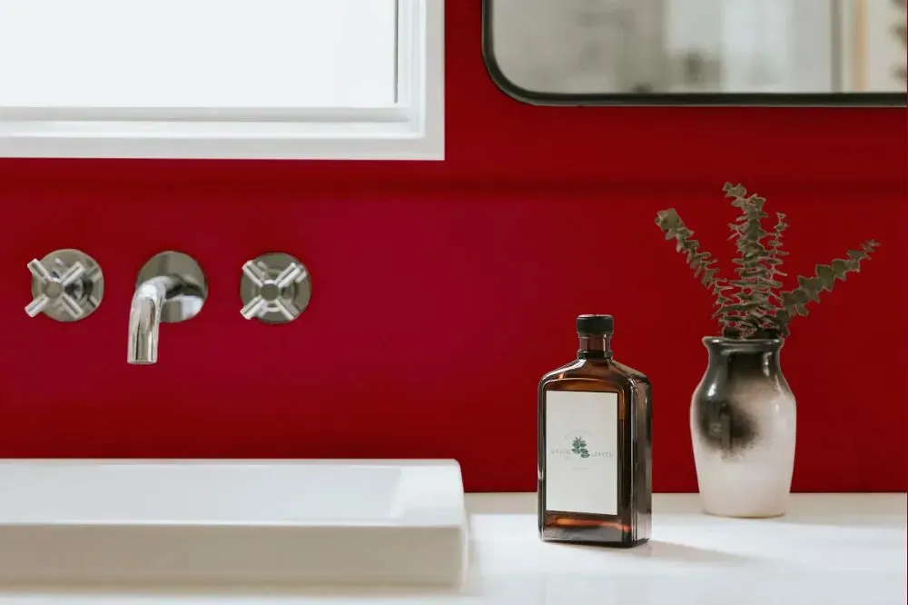 NCS S 2070-R10B bathroom wall paint