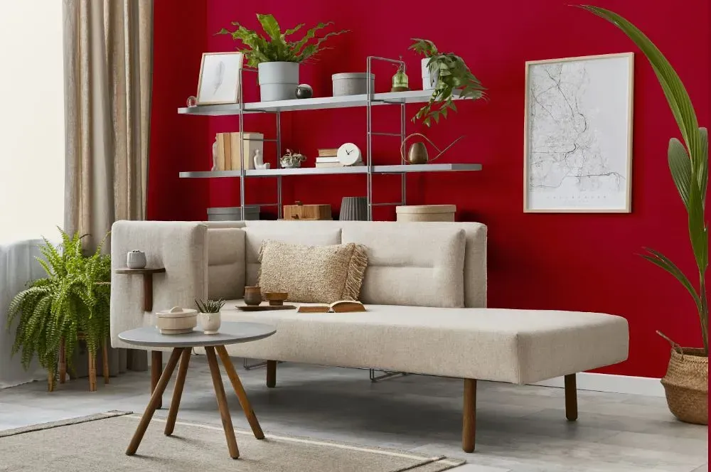 NCS S 2070-R10B living room