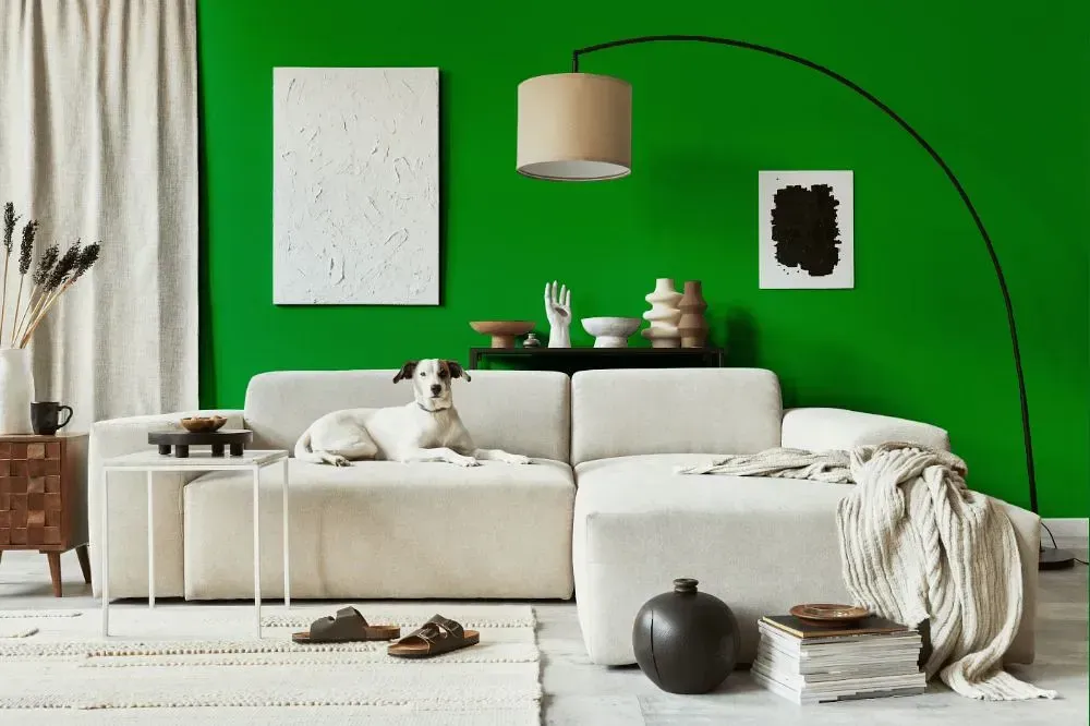 NCS S 2075-G20Y cozy living room