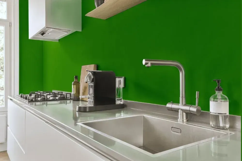 NCS S 2075-G30Y kitchen painted backsplash