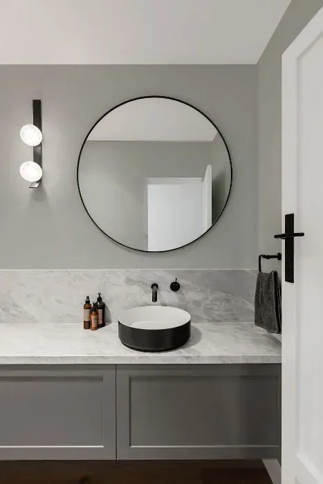 NCS S 2502-G50Y minimalist bathroom