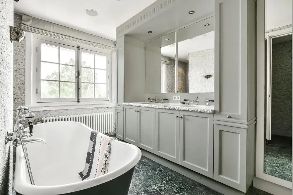 NCS S 2502-G50Y victorian bathroom paint