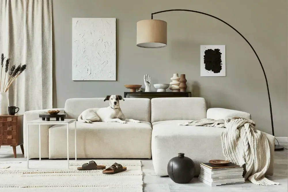 NCS S 2502-Y cozy living room