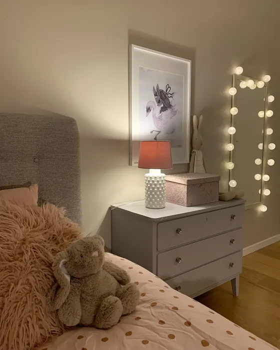 NCS S 2502-Y20R bedroom paint